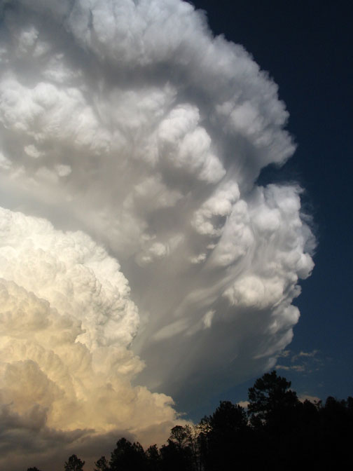 thunderhead15