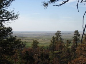 Green plains through canyon trees.