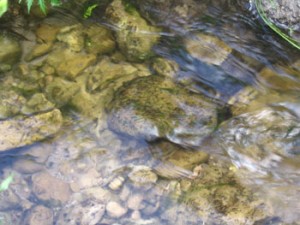 Beautiful creek rocks under sparkling water.