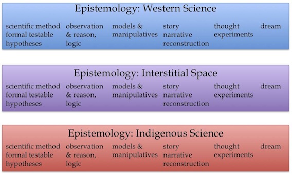 Figure 12. Even a small sample of methods used by Gould, Einstein, Watson, Crick, Pauling, and Kekulé demonstrates the broad range of epistemic systems available to Western scientists (blue bar). These seem to match so well with the range of methods available to Indigenous scientists (red bar) that interstitial space (purple bar) seems like it would be easy to identify and work in; it would have the same range of methods seen in both systems. 