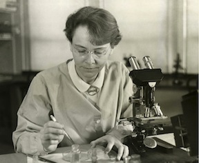 Figure 21. Barbara McClintock, Cornell University geneticist awarded the Nobel Prize in 1983.
